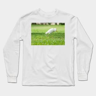 Cattle Egret 8 Long Sleeve T-Shirt